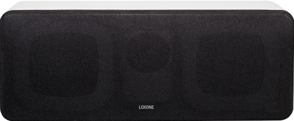 Inteligentny Głośnik Loxone Wall Speaker